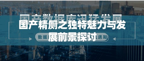 国产精厕之独特魅力与发展前景探讨