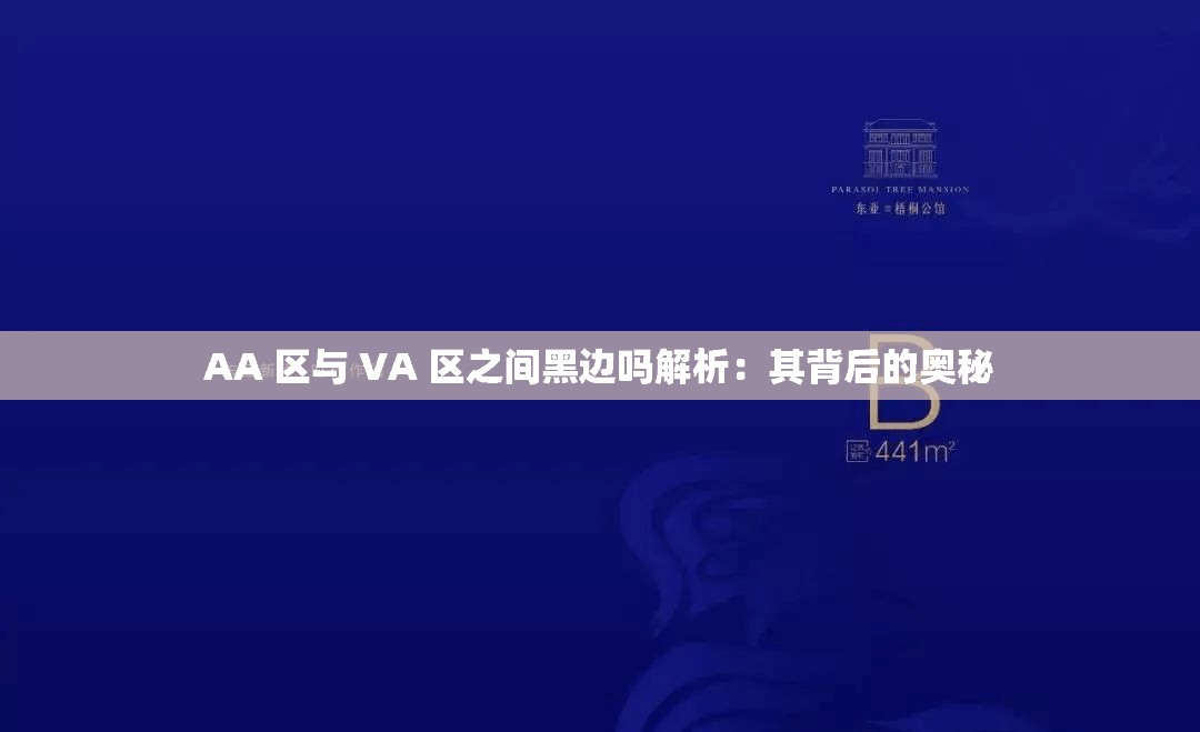 AA 区与 VA 区之间黑边吗解析：其背后的奥秘