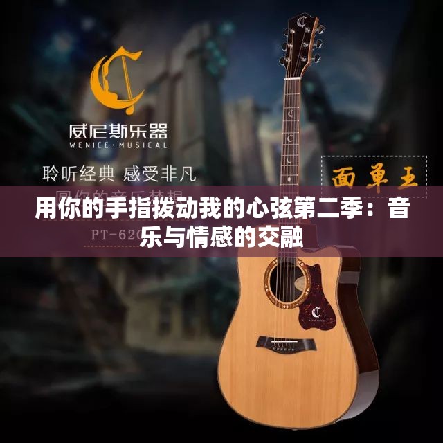 用你的手指拨动我的心弦第二季：音乐与情感的交融