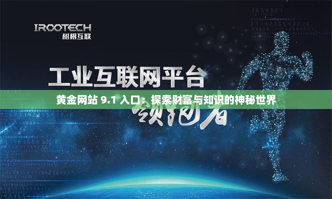 黄金网站 9.1 入口：探索财富与知识的神秘世界