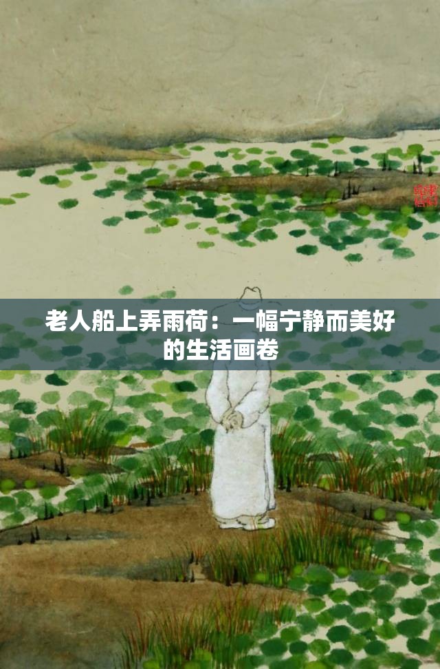 老人船上弄雨荷：一幅宁静而美好的生活画卷