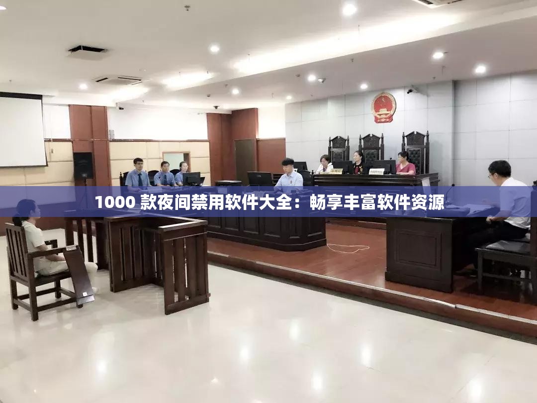1000 款夜间禁用软件大全：畅享丰富软件资源