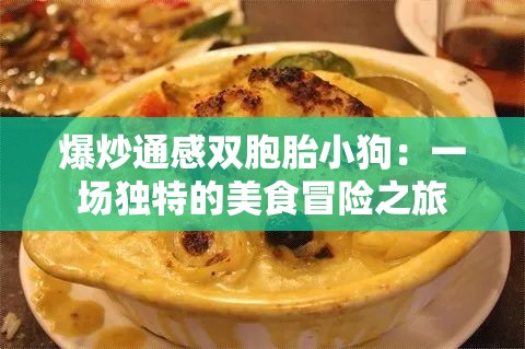 爆炒通感双胞胎小狗：一场独特的美食冒险之旅