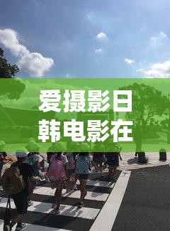 爱摄影日韩电影在线观看：提供优质观影体验