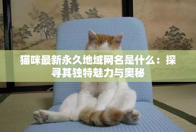 猫咪最新永久地域网名是什么：探寻其独特魅力与奥秘