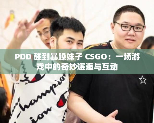 PDD 碰到暴躁妹子 CSGO：一场游戏中的奇妙邂逅与互动