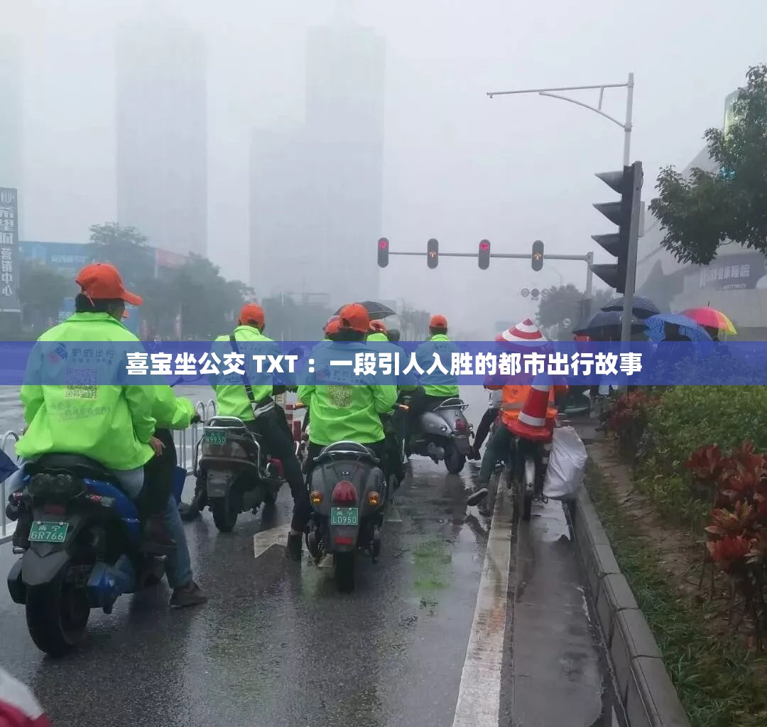 喜宝坐公交 TXT ：一段引人入胜的都市出行故事