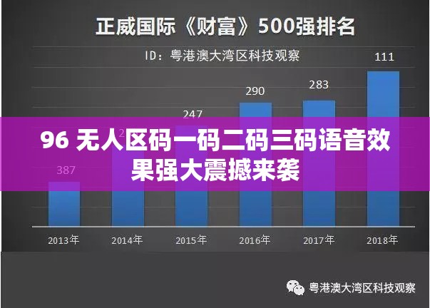 96 无人区码一码二码三码语音效果强大震撼来袭
