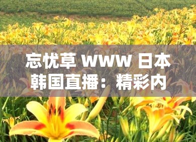 忘忧草 WWW 日本韩国直播：精彩内容不间断，让你忘却烦恼