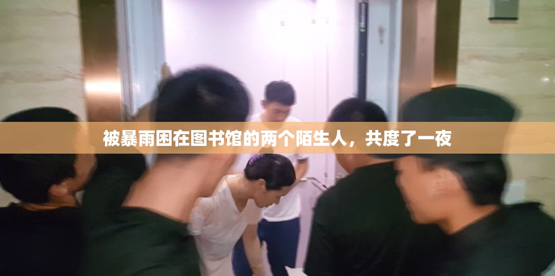 被暴雨困在图书馆的两个陌生人，共度了一夜