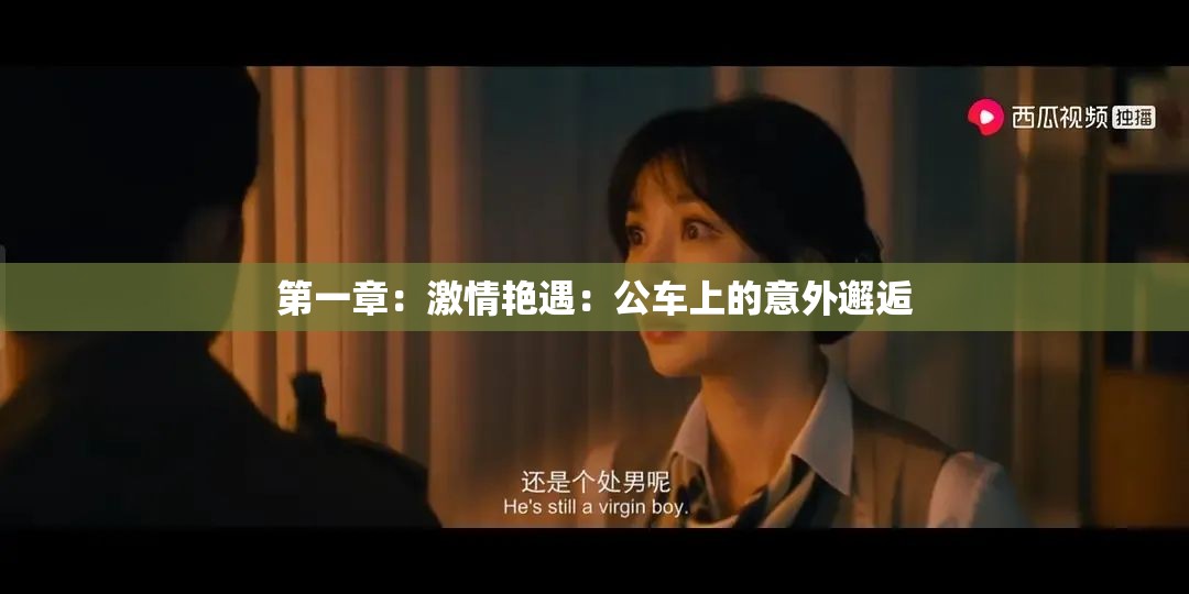 第一章：激情艳遇：公车上的意外邂逅