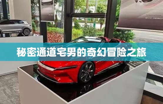 秘密通道宅男的奇幻冒险之旅