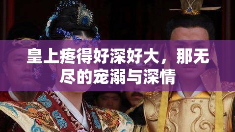 皇上疼得好深好大，那无尽的宠溺与深情