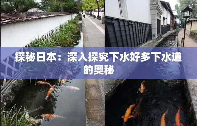 探秘日本：深入探究下水好多下水道的奥秘