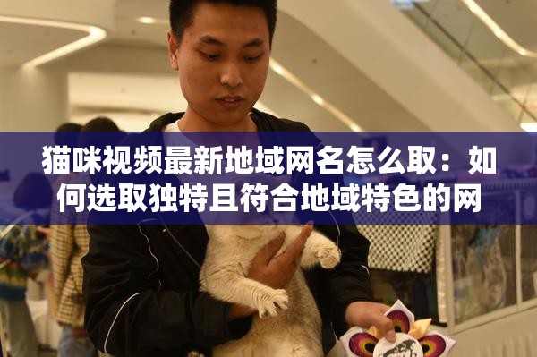 猫咪视频最新地域网名怎么取：如何选取独特且符合地域特色的网名