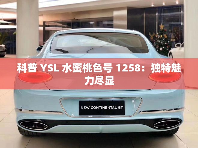 科普 YSL 水蜜桃色号 1258：独特魅力尽显