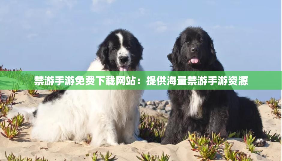 禁游手游免费下载网站：提供海量禁游手游资源