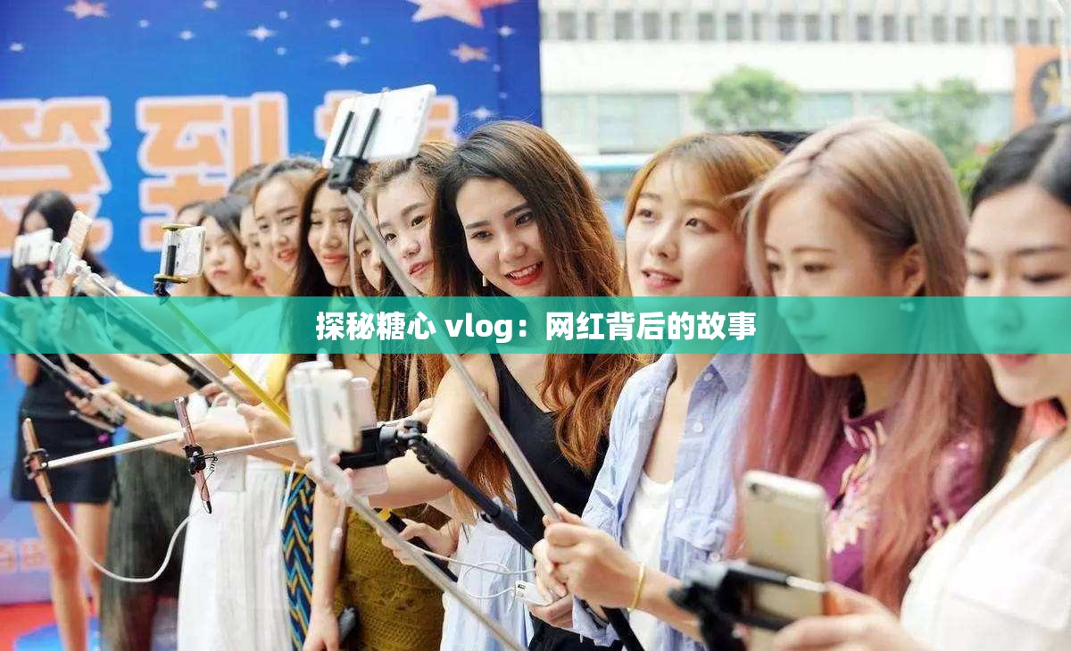 探秘糖心 vlog：网红背后的故事