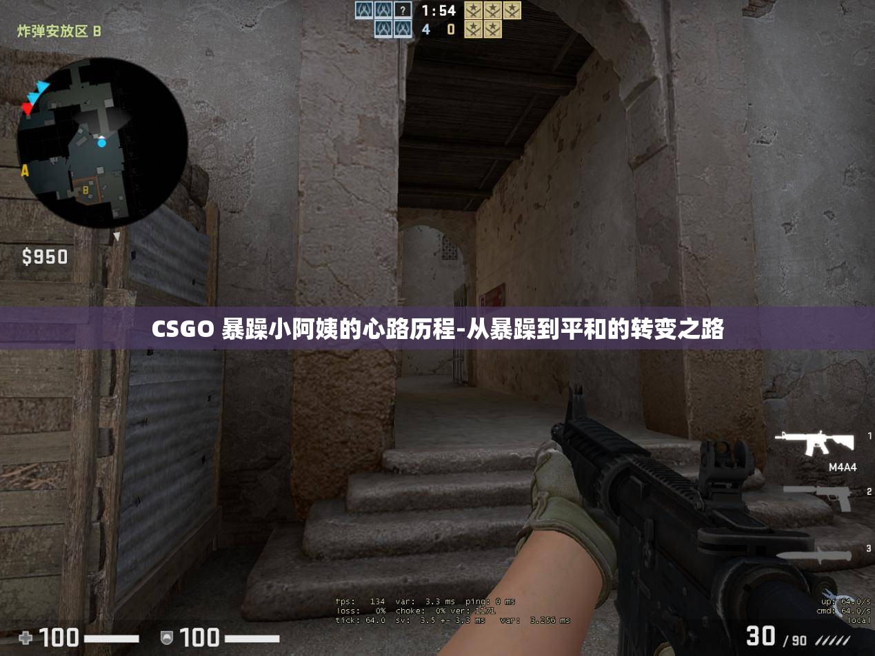 CSGO 暴躁小阿姨的心路历程-从暴躁到平和的转变之路