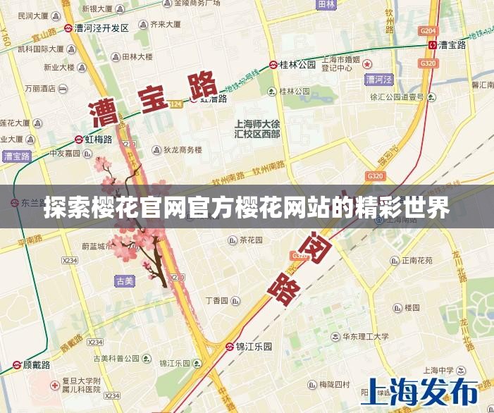 探索樱花官网官方樱花网站的精彩世界