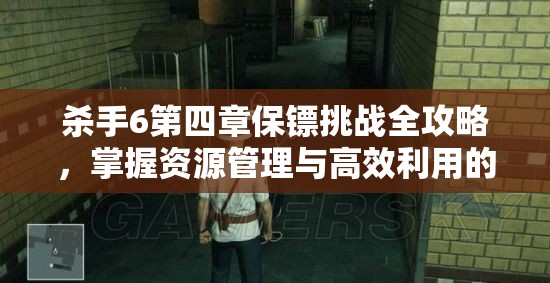 杀手6第四章保镖挑战全攻略，掌握资源管理与高效利用的艺术
