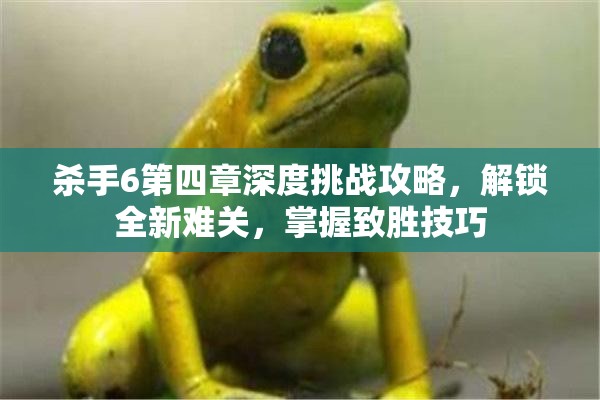 杀手6第四章深度挑战攻略，解锁全新难关，掌握致胜技巧