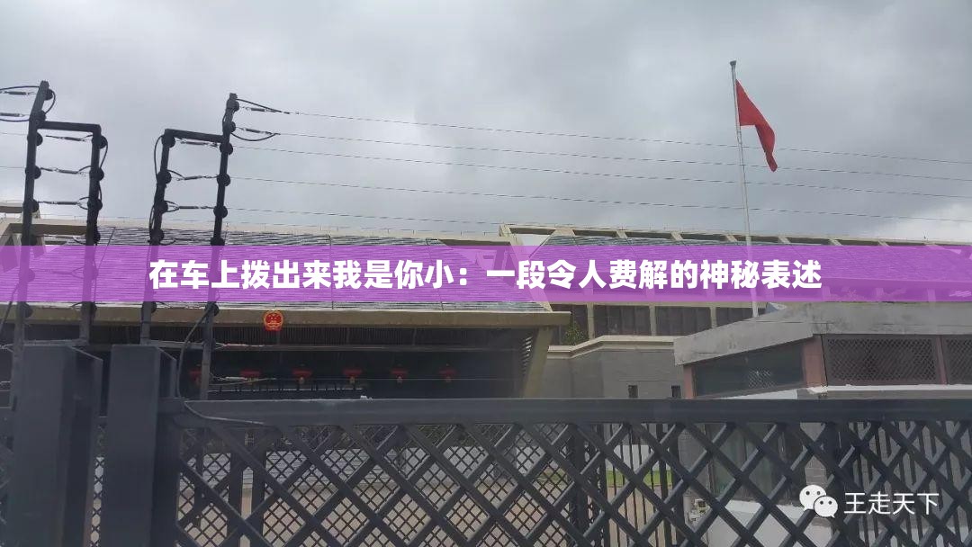 在车上拨出来我是你小：一段令人费解的神秘表述