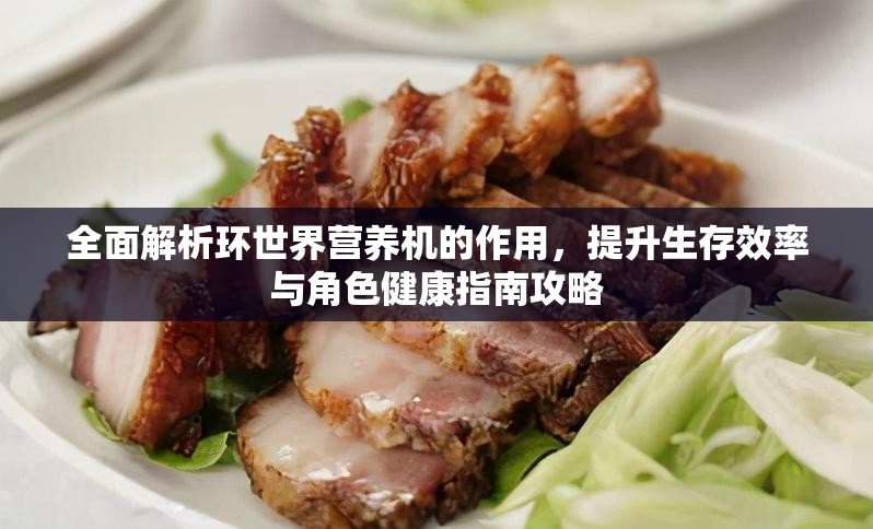 全面解析环世界营养机的作用，提升生存效率与角色健康指南攻略