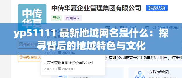 yp51111 最新地域网名是什么：探寻背后的地域特色与文化