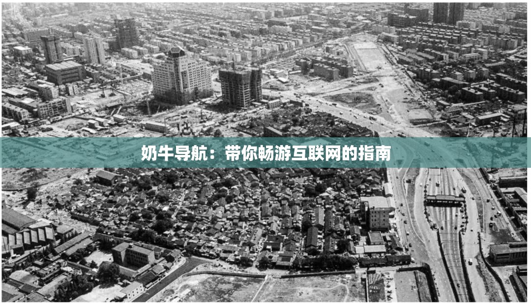 奶牛导航：带你畅游互联网的指南