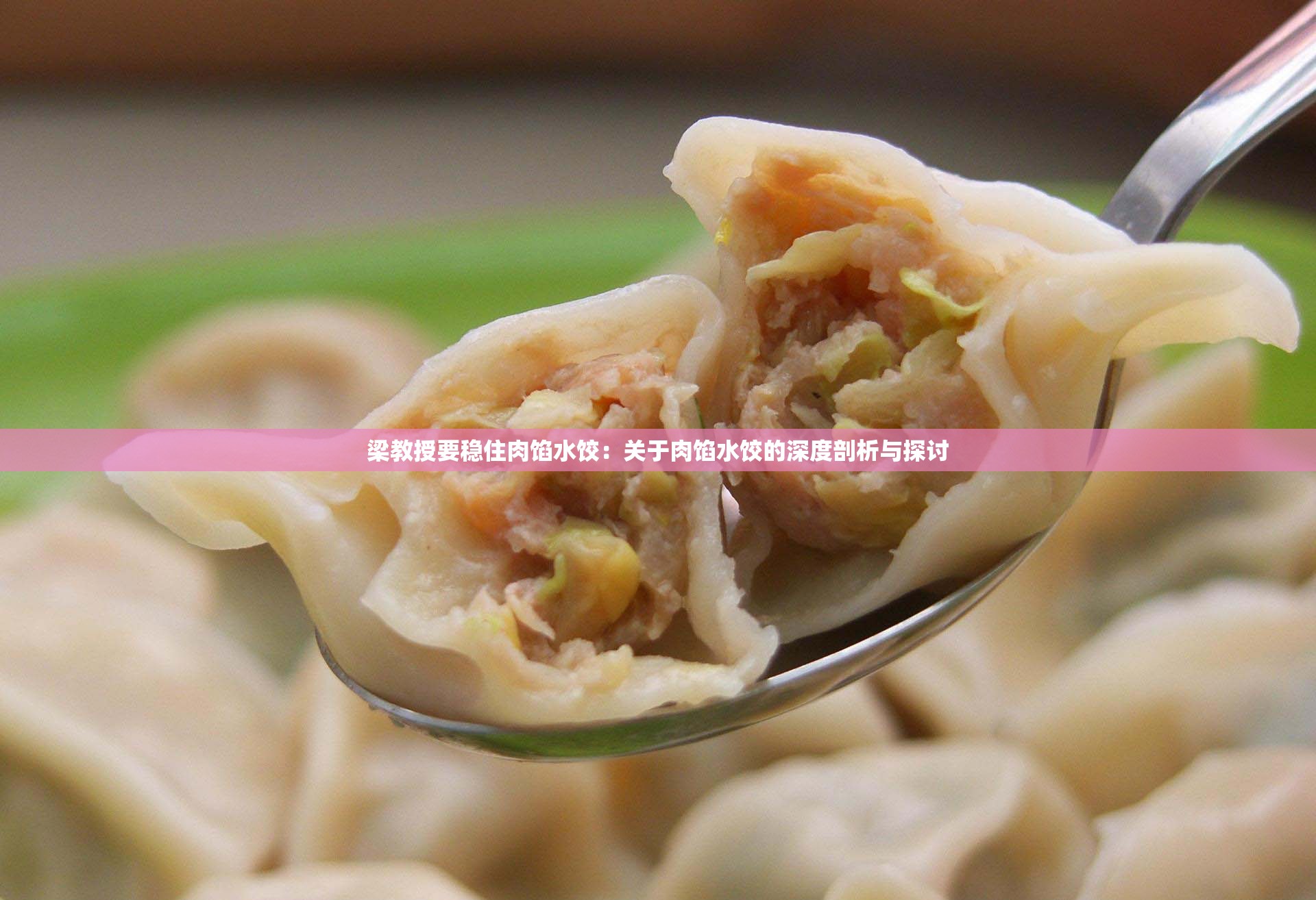 梁教授要稳住肉馅水饺：关于肉馅水饺的深度剖析与探讨