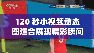 120 秒小视频动态图适合展现精彩瞬间的绝妙方式