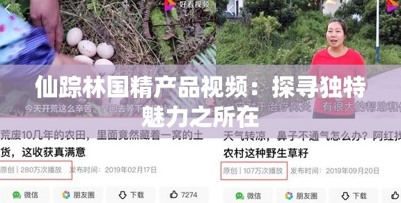 仙踪林国精产品视频：探寻独特魅力之所在