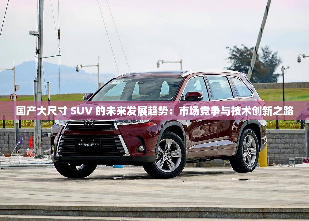 国产大尺寸 SUV 的未来发展趋势：市场竞争与技术创新之路