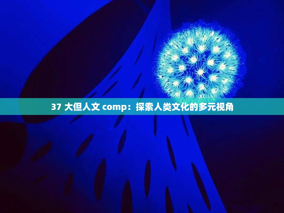 37 大但人文 comp：探索人类文化的多元视角
