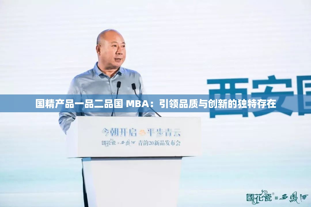 国精产品一品二品国 MBA：引领品质与创新的独特存在