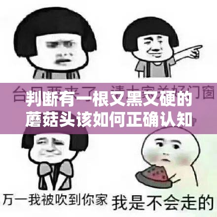 判断有一根又黑又硬的蘑菇头该如何正确认知与理解