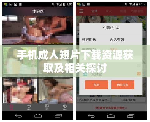 手机成人短片下载资源获取及相关探讨