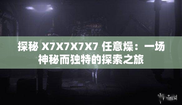 探秘 X7X7X7X7 任意燥：一场神秘而独特的探索之旅