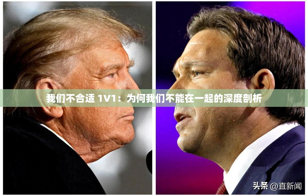 我们不合适 1V1：为何我们不能在一起的深度剖析