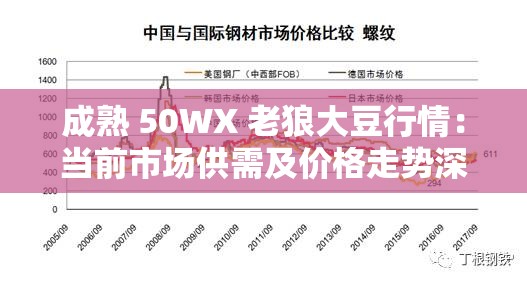 成熟 50WX 老狼大豆行情：当前市场供需及价格走势深度分析