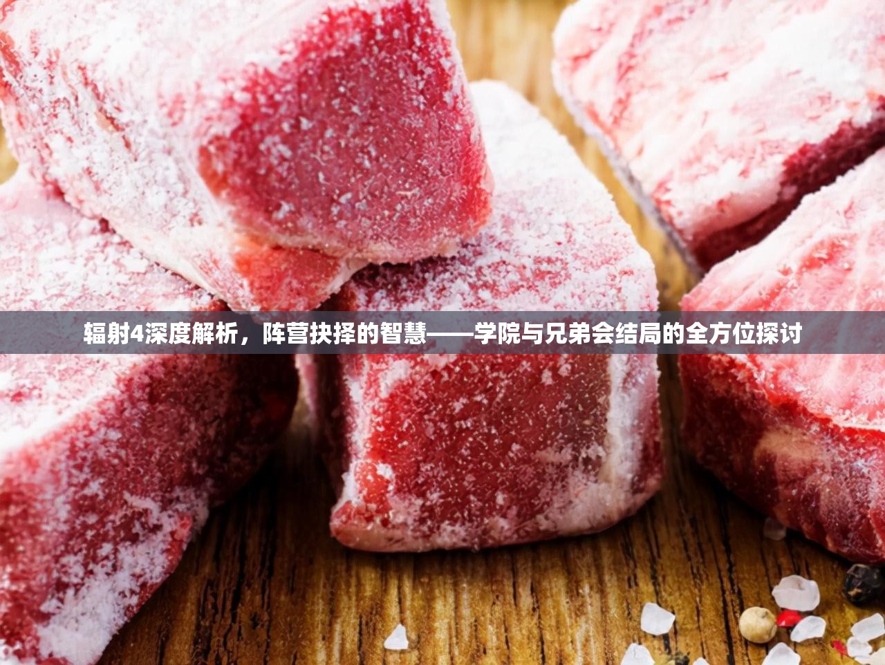 辐射4深度解析，阵营抉择的智慧——学院与兄弟会结局的全方位探讨