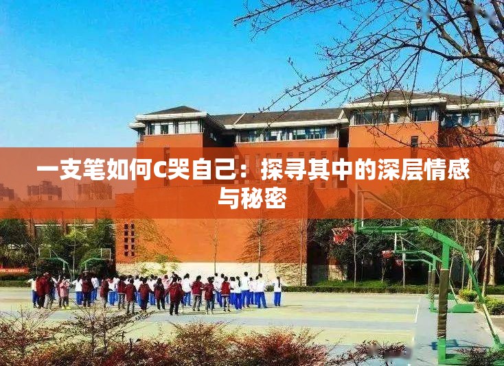 一支笔如何C哭自己：探寻其中的深层情感与秘密