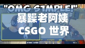 暴躁老阿姨 CSGO 世界：游戏竞技的热血之旅