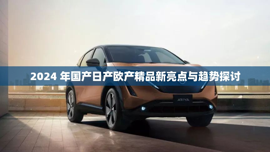 2024 年国产日产欧产精品新亮点与趋势探讨