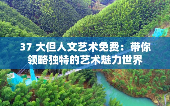 37 大但人文艺术免费：带你领略独特的艺术魅力世界