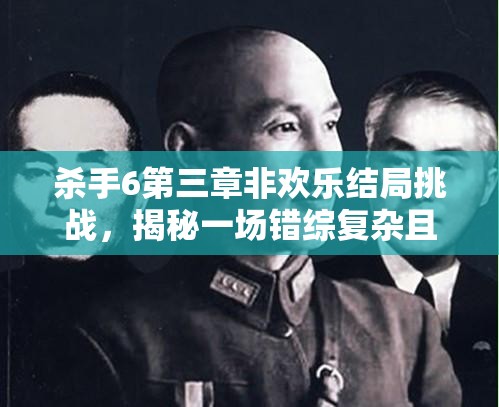 杀手6第三章非欢乐结局挑战，揭秘一场错综复杂且精心策划的刺杀行动