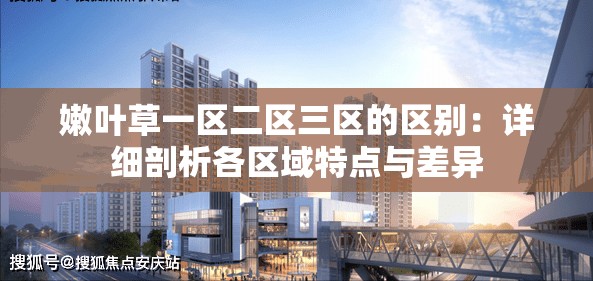 嫩叶草一区二区三区的区别：详细剖析各区域特点与差异