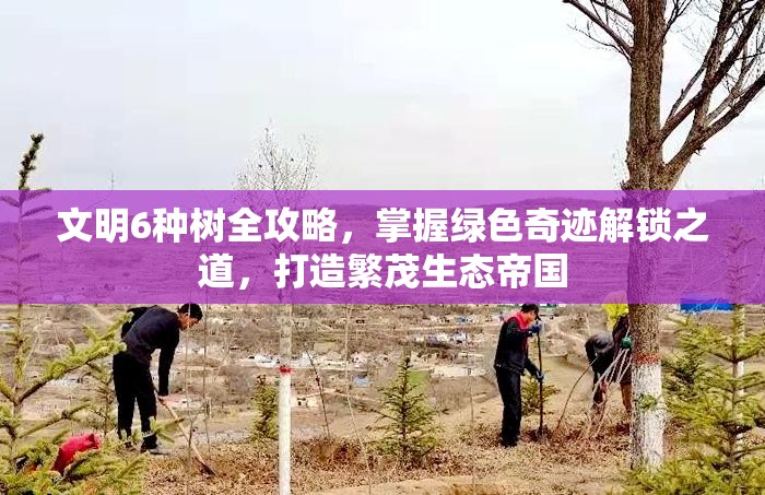 文明6种树全攻略，掌握绿色奇迹解锁之道，打造繁茂生态帝国