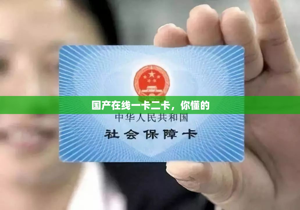 国产在线一卡二卡，你懂的